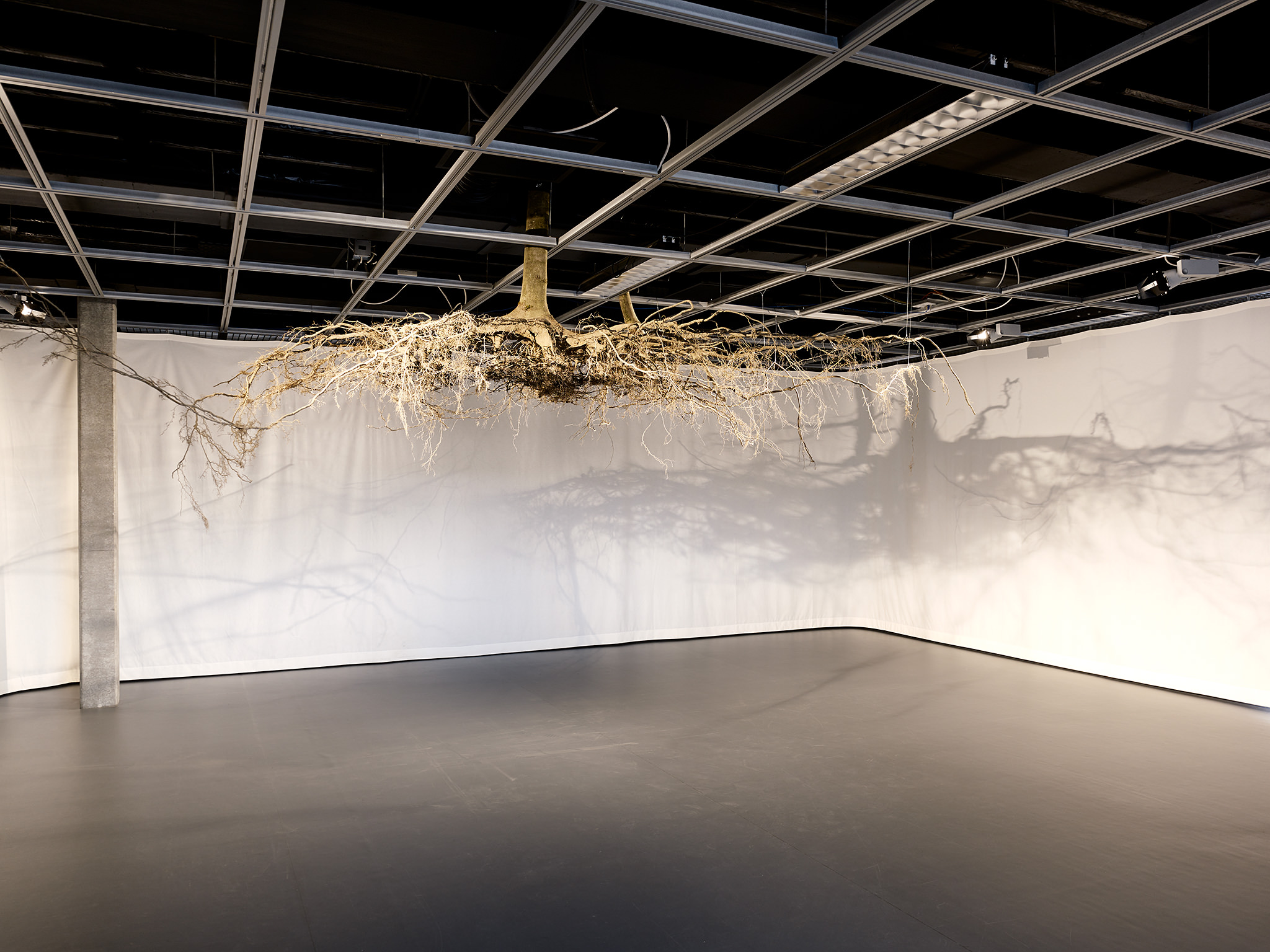 LIVE MATTER - Design Vegetal